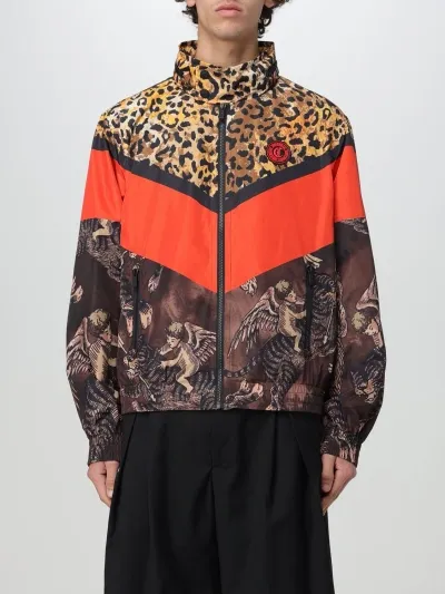 Just Cavalli Angel Tiger-print Bomber Jacket In Brown