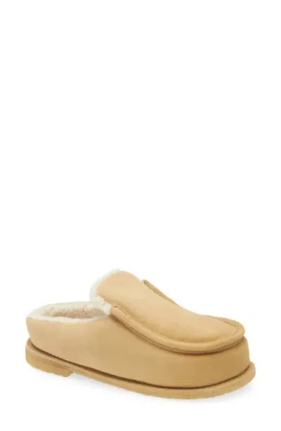 Jw Anderson Genuine Shearling Mule In Calf Mustaza Beige