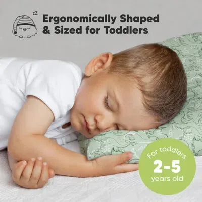 Keababies Jumbo Toddler Pillow With Pillowcase In Dinodood