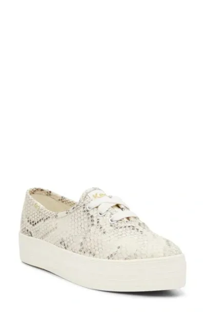 Keds Women's Point Snake Print Lace Up Leather Sneakers In Cream