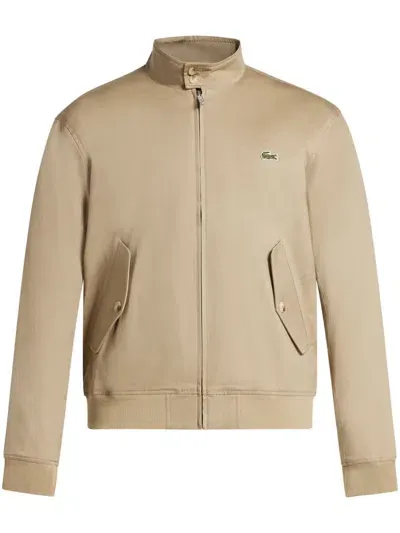 Lacoste Cotton Bomber Jacket In 中性色