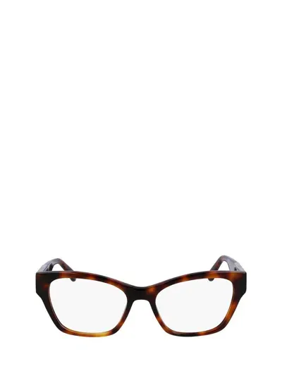 Lacoste Eyeglasses In Brown