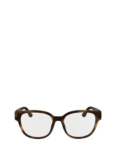 Lacoste Eyeglasses In Brown