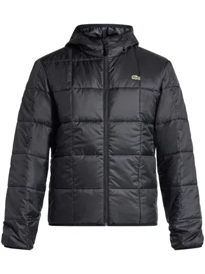 Lacoste Padded Hooded Jacket In Black