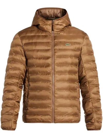 Lacoste Padded Jacket In Brown