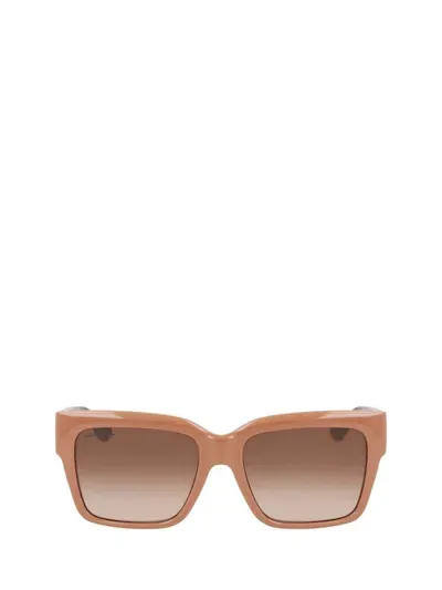 Lacoste Sunglasses In Beige