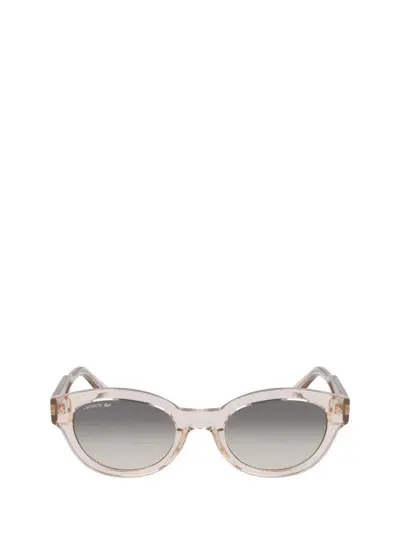 Lacoste Sunglasses In Beige