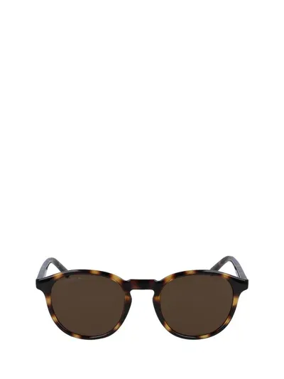 Lacoste Sunglasses In Brown