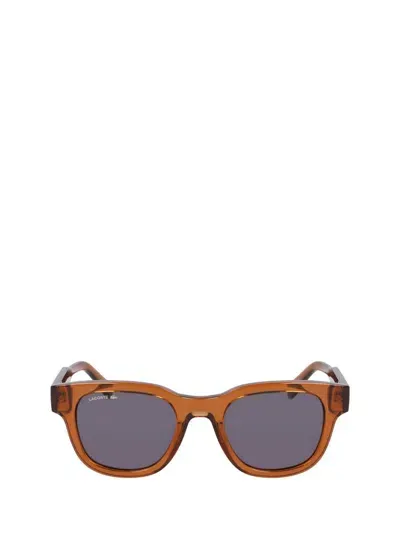 Lacoste Sunglasses In Brown