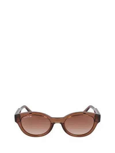 Lacoste Sunglasses In Brown