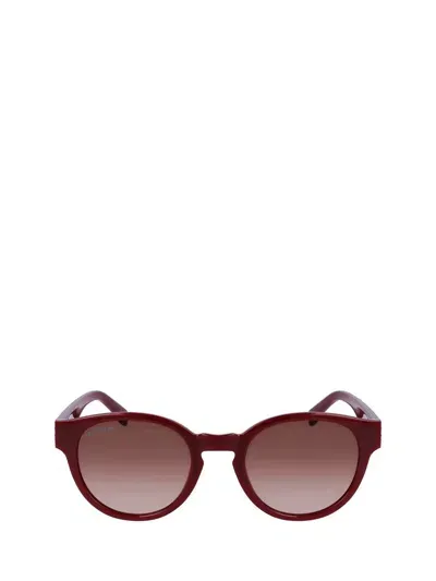 Lacoste Sunglasses In Dark Red