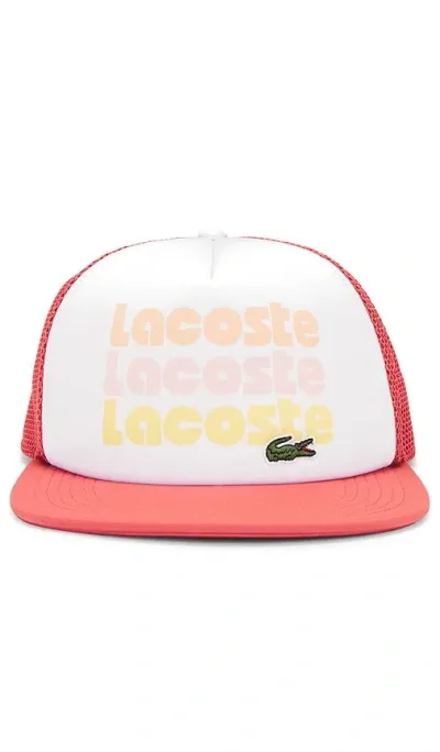 Lacoste Wording Cap In Blanc & Sierra