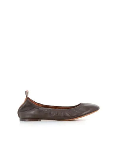 Lanvin Ballerina In Brown