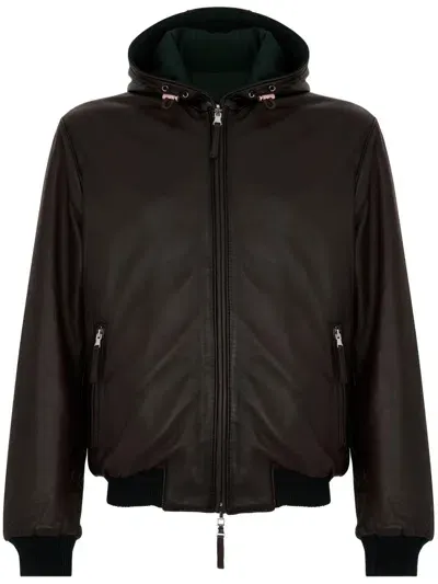 Leather Authority Jackets Brown