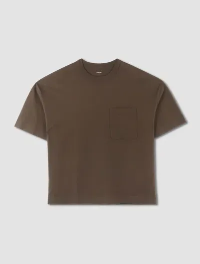 Lemaire T-shirt In Espresso