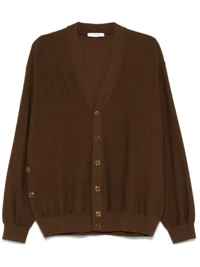 Lemaire Twisted Cardigan In Brown