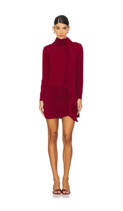 Leslie Amon Gstaad Mini Dress In Burgundy