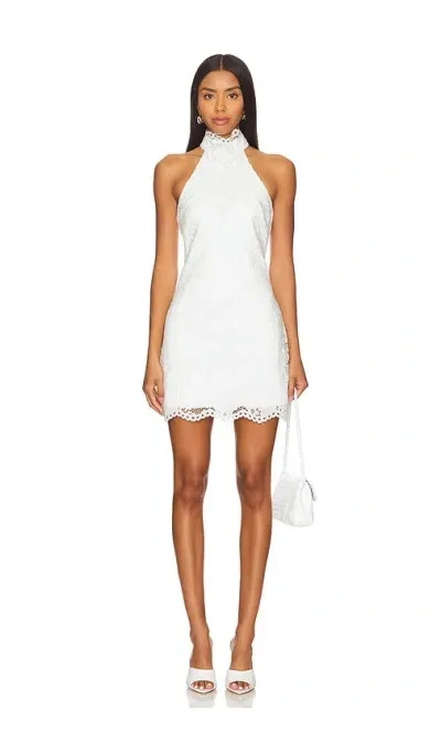 Likely Tallie Dress In White