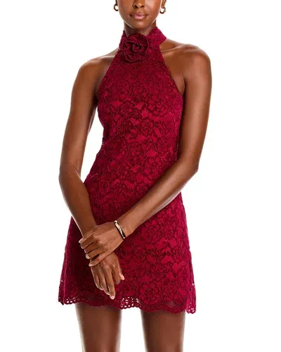 Likely Tallie Lace Rosette Halter Dress In Rumba Red