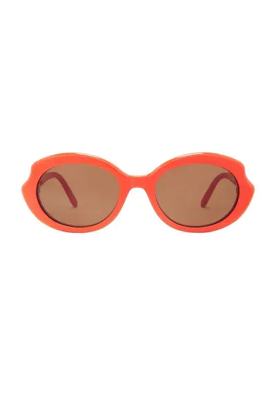 Loewe Oval Sunglasses In Shiny Orange & Brown