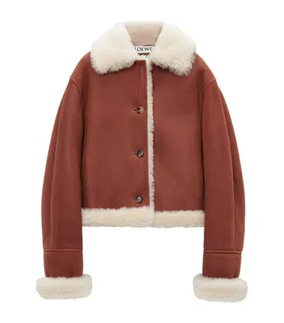 Loewe Shearling Jacket In Brown