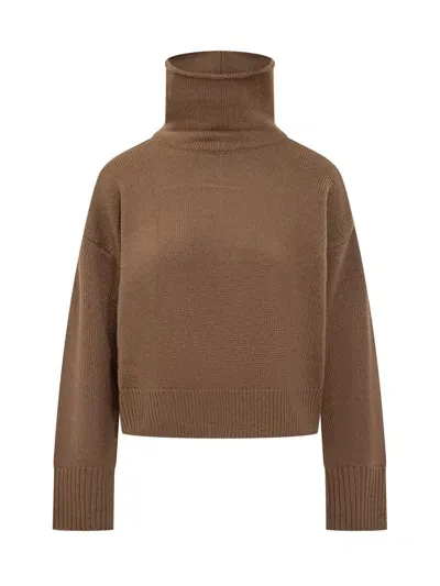 Loulou Studio Sweaters In Brown