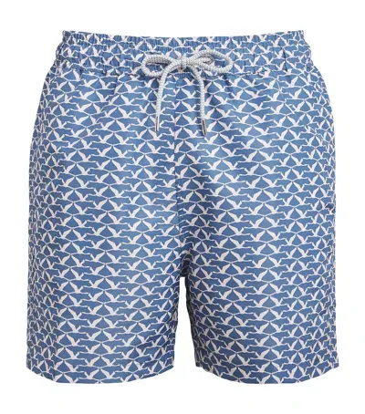 Love Brand & Co. Printed Staniel Swim Shorts In Blue