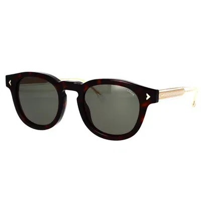 Lozza Sunglasses In Dark Havana Glossy