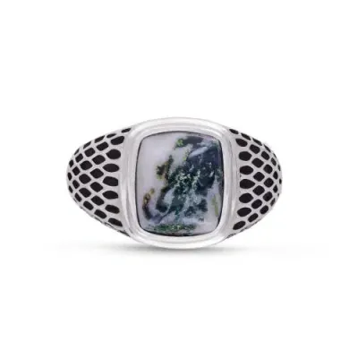 Luvmyjewelry Tree Agate Sterling Silver Men Signet Ring