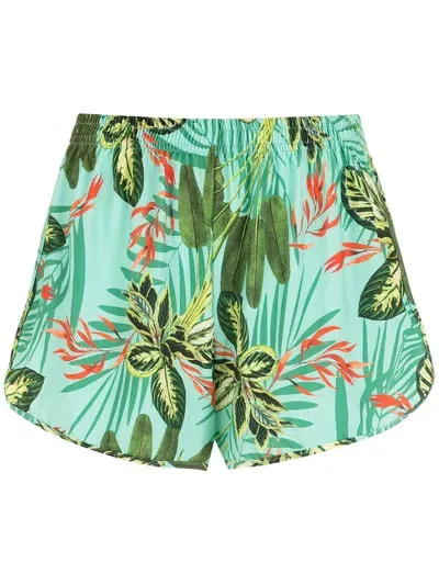 Lygia & Nanny Lee Tropical Print Shorts In Green