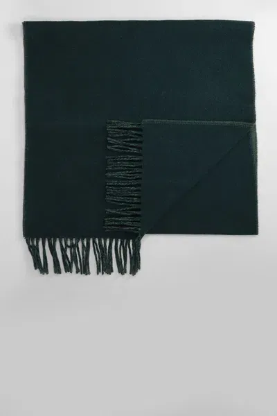 Maison Kitsuné Scarve In Green