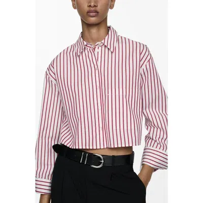 Mango Stripe Crop Button-up Shirt In Red