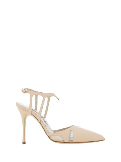 Manolo Blahnik Arcadia Fabio Pumps In Dcrm