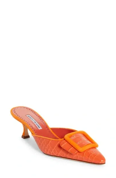 Manolo Blahnik Maysalebi Kitten Heel Mule In Orange