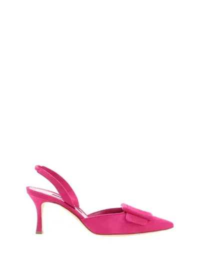 Manolo Blahnik Maysli Val Suede 070 Pump Shoes In Dpnk