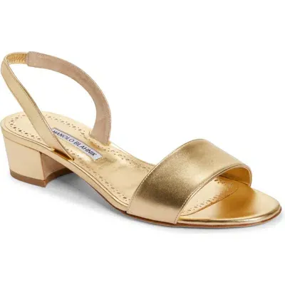 Manolo Blahnik Patopia Slingback Sandal In Gold