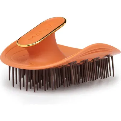 Manta Kinks Coils & Curls Healthy Hair & Scalp Brush In Amber Orange