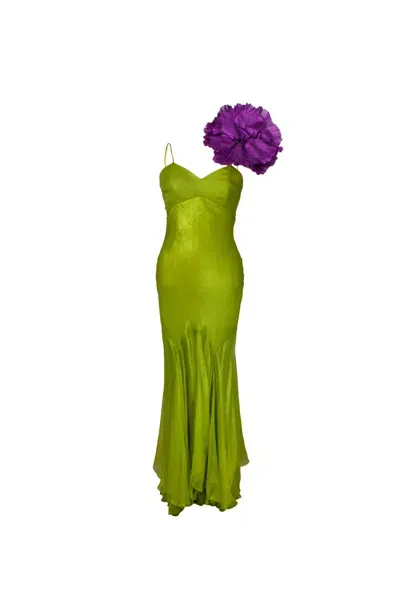 Maria Lucia Hohan Dress In Green