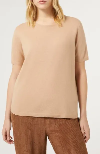 Marina Rinaldi Whist Short Sleeve Cashmere Sweater In Camel