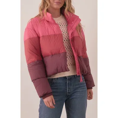 Marine Layer Gia Crop Down Puffer Jacket In Warm Colorblock