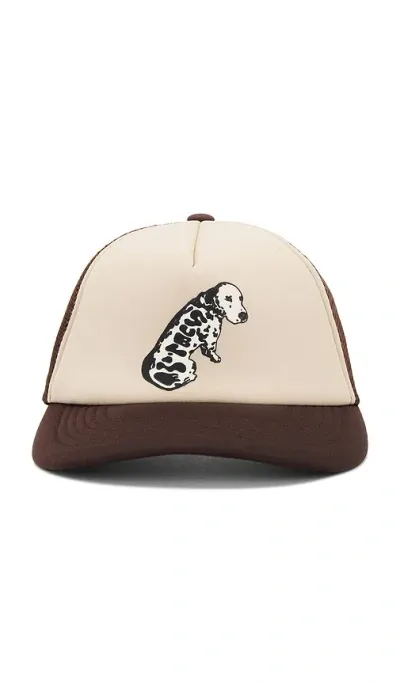 Market Sublime Garden Grove Dog Trucker Hat In Brown