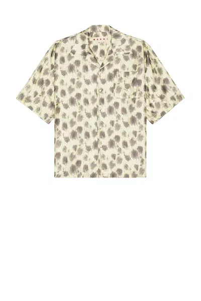 Marni Button Down Shirt In Light Topaz