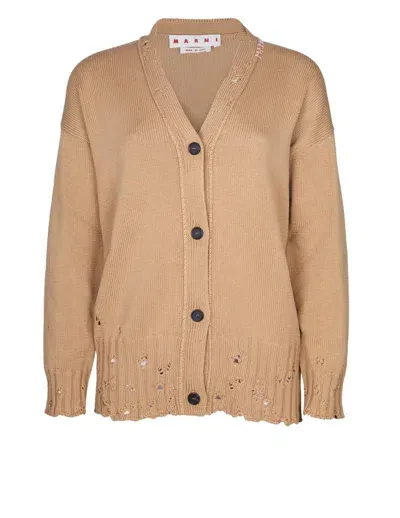 Marni Cotton Cardigan In Brown