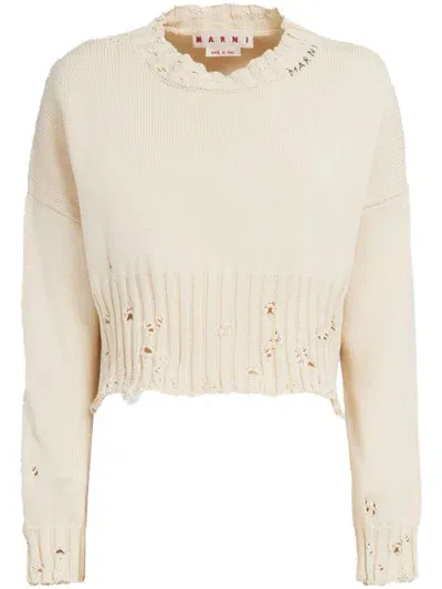 Marni Distressed-finish Cropped Jumper In Neutrals