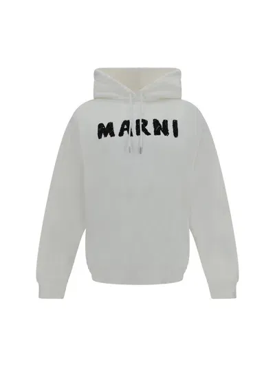 Marni Hoodie In Gray