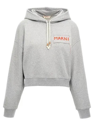 Marni Logo Print Cropped Hoodie