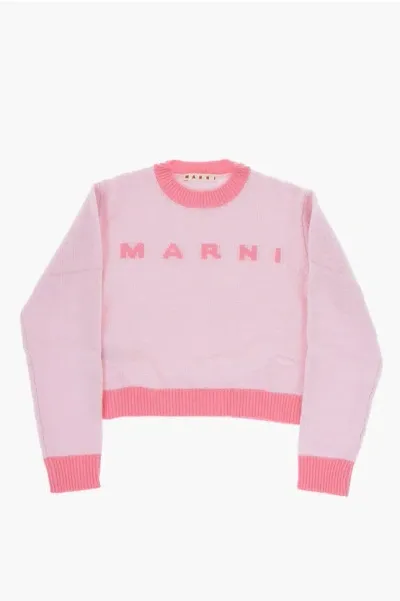 Marni Wool And Cashmere Crew-neck Sweater With Embroidered Logo