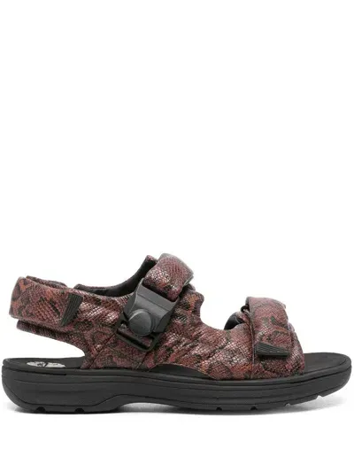 Martine Rose X Clarks Snakeskin-print Sandals In Brown