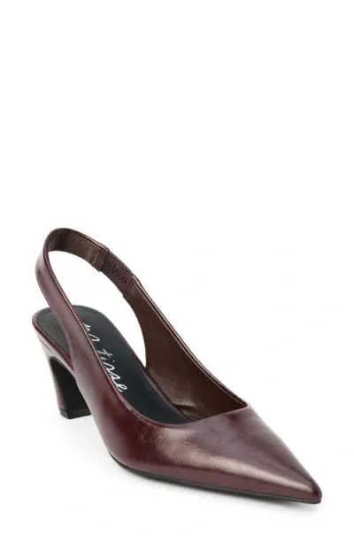 Matisse Leona Slingback Pointed Toe Pump In Bordeaux