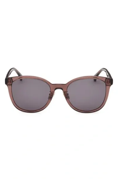 Max Mara 55mm Round Sunglasses In Shiny Dark Brown/smoke